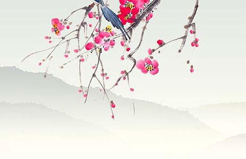 棉被常见的虫子图片
