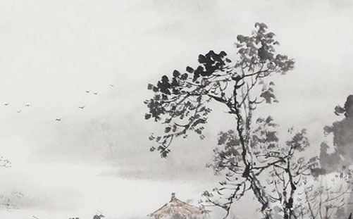 橄榄油多少钱一斤