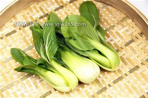 鸡毛菜图片功效与作用,润肠排毒/防止衰老/还可以抗癌