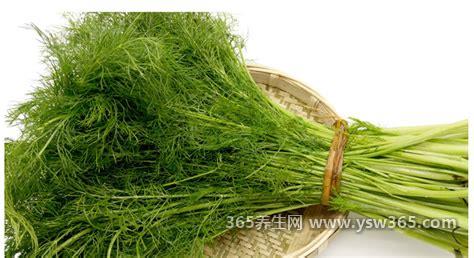 小茴香的功效与作用,祛寒/镇痛/健胃行气/抗口腔溃疡的作用
