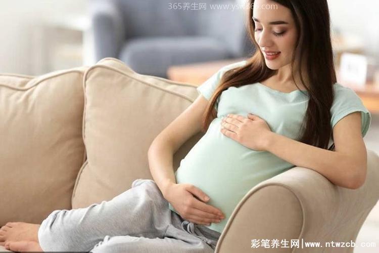 怀孕最早期的微妙感觉,会出现乳晕或尿频犯困等等