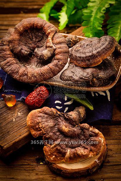 64种真正野生灵芝图片,灵芝/紫芝/黑芝/青芝都是很有价值的