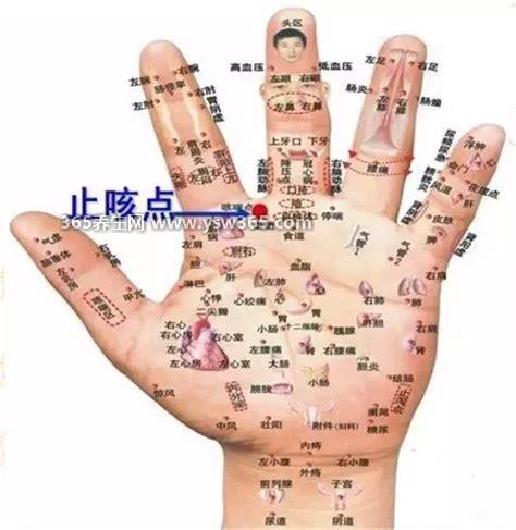 手上的止咳点准确位置示意图,鱼际穴用力按压3分钟可缓解