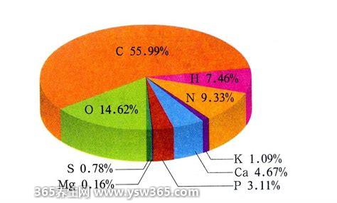 人体中含量最多的元素前五位,前五种元素是氧/碳/氢/氮/钙