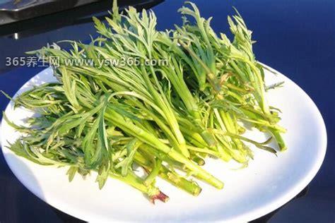 柳蒿芽的功效与作用禁忌,可以刺激食欲/帮助消化/降低血压