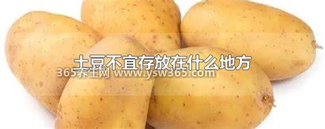 土豆不宜存放在什么地方,不应该储存在温暖潮湿和阳光直射的地方