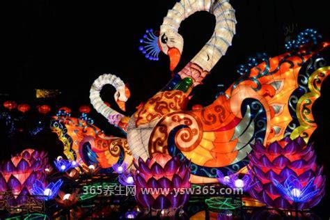 五光十色打一生肖是指的什么动物,指的是蛇或鸡
