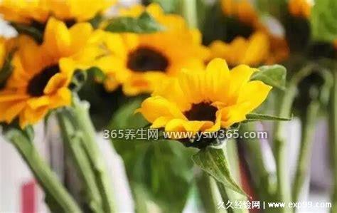 一举夺魁要几朵向日葵,没有具体规定(三个/六个/八个都可以)