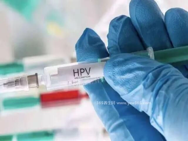 九价疫苗三年内不能要孩子,是谣言建议在半年内不要怀孕