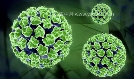 46岁千万不要打宫颈癌疫苗,因为预防效果会大大降低