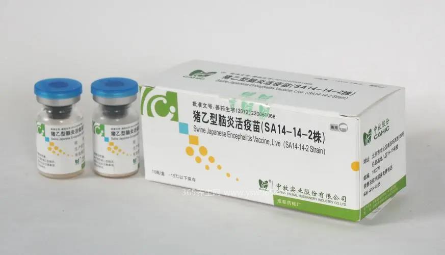 乙脑疫苗最晚几岁打,8个月左右最晚不要超过6岁