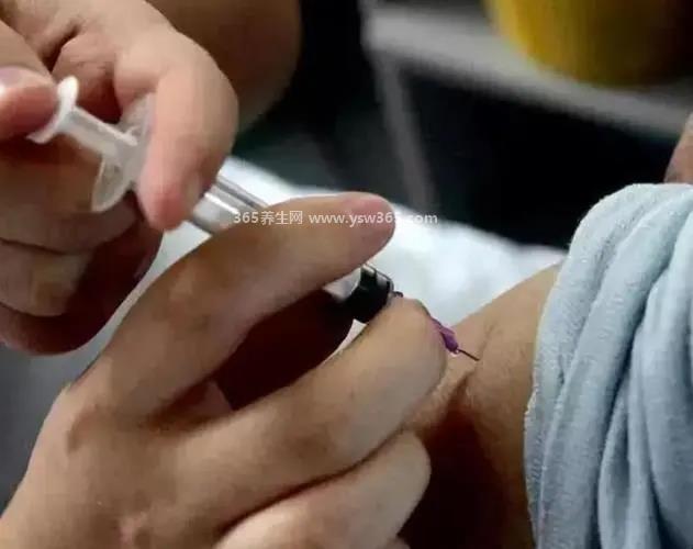 被猫咬千万不要打狂犬疫苗,正常家养的动物就不需要打