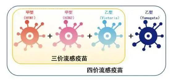 千万不要打流感疫苗4价,可能会引发其他疾病