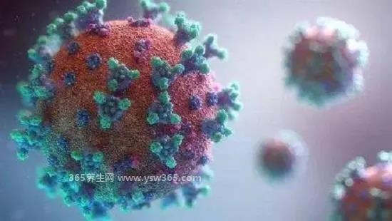 世界上第一恐怖的病毒,埃博拉病毒/艾滋病毒/天花病毒等