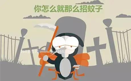 什么血型招蚊子,O型和A型蚊子都很喜欢