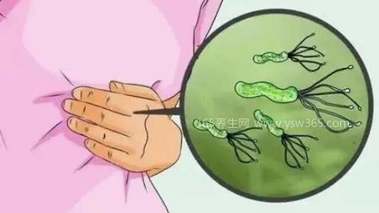小孩为什么不用查幽门螺杆菌,儿童携带病菌的概率很低
