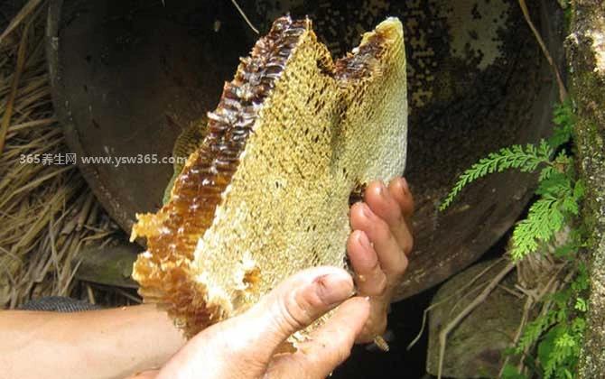 纯正土蜂蜜多少钱一斤,一斤在100-300元有的可能更贵