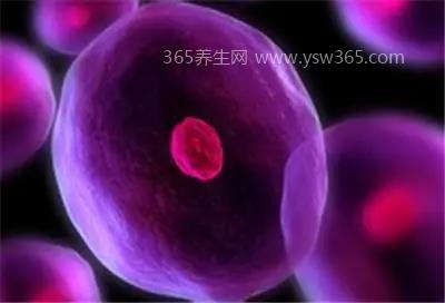 白血病十种自我检查,这十种一定要知道(任何一种都很重要)