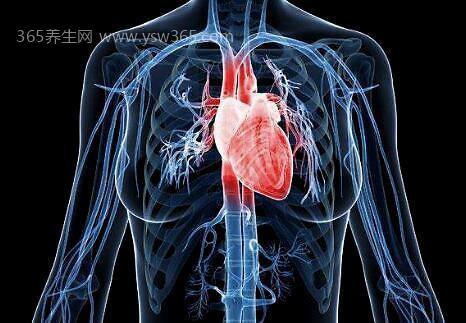 一分钟自测心脏健康,0-3之间是非常健康的