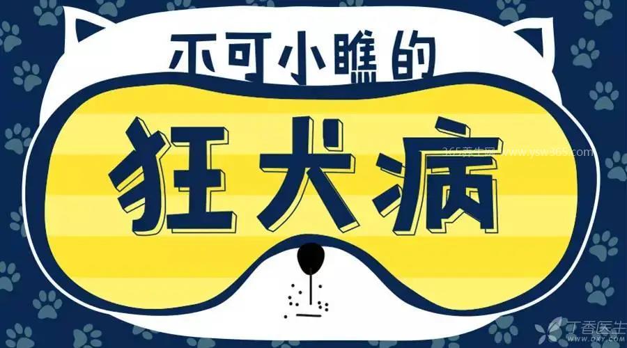 10种情况不需要打狂犬疫苗,猫狗没有生病的不用打
