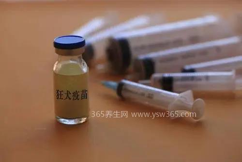 20天后补打狂犬疫苗有用吗,没用(要在24-48小时内打)