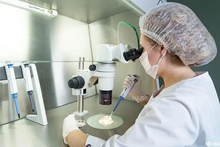 试管婴儿费用大概要多少钱,大概3万元(根据患者情况而定)