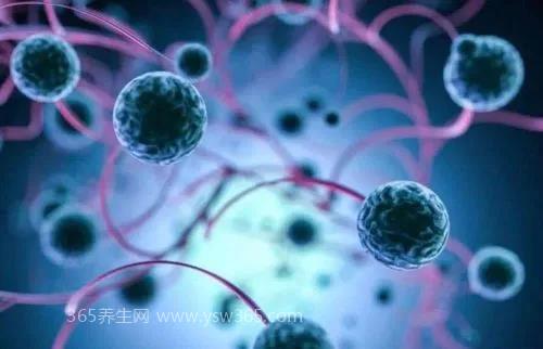 尽量不要和癌症患者密切接触,和四种癌症患者接触可能会被传染