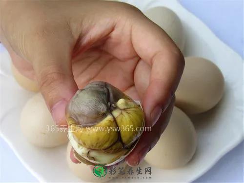 活珠子鸡蛋的功效与作用,能够补血健脑,强筋壮骨