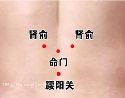 三伏贴位置示意图