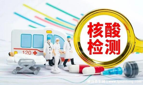 2022低风险地区回来的人需要隔离吗,不需要(三天两检即可)
