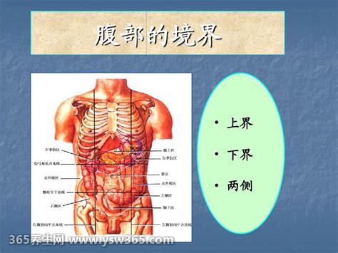 男性女性腹股沟在哪个位置图片示意图