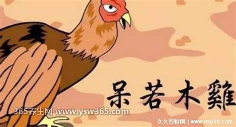 呆若木鸡打一个生肖动物是什么,指的是生肖鸡/猪/牛