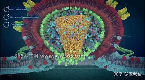 多喝水能把新冠病毒排出体外吗,可以缓解但不能排出体外