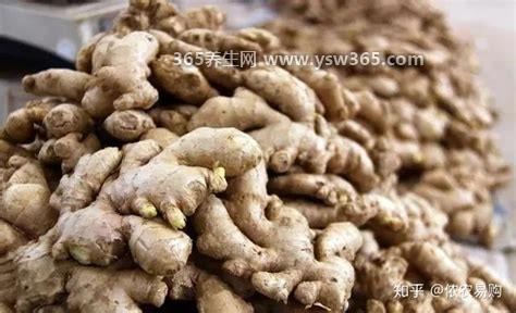 生姜退烧一招见效,泡脚和捣碎生姜外敷退烧效果好