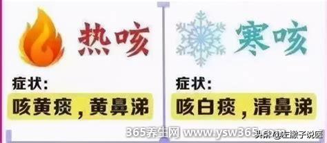 热咳和寒咳的区别晚上,咳嗽的声音/舌苔颜色都不一样