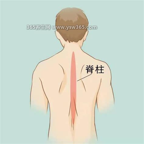 男性左侧疼痛位置图解,左上疼痛位置对应的是我们的脾胃