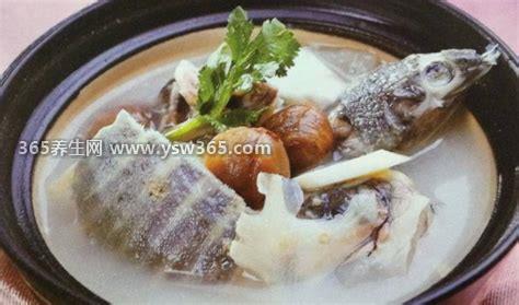 甲鱼汤怎么做好喝又营养,具体食材准备和步骤可以往下看