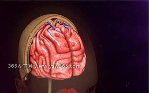 脑供血不足每天抓手100下促进血液循环,方法很简单