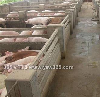 1月养猪场管理要点,要储备一定的饲料/药品/疫苗等物资