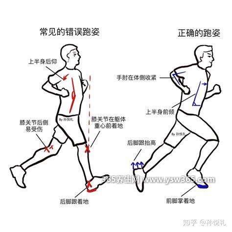 竞走和跑步的根本区别,姿势和运动形式不同