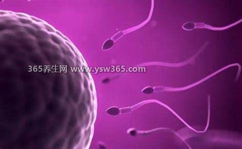 怎么确定精子是不是进去了,肉眼无法确定精子是否已经进入