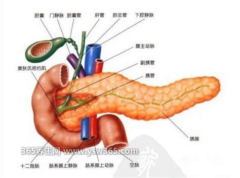 胰腺不好的6大征兆,高烧持续很长时间就需要注意了