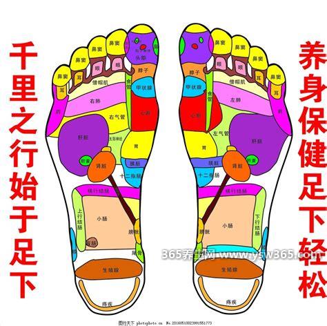脚底疼痛部位图解,常见的是足底筋膜炎(及时就医为好)