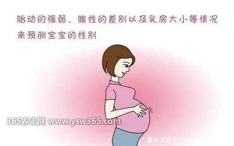 孕晚期男孩女孩差别就出现了,从胃形状/胎动七个方面观察