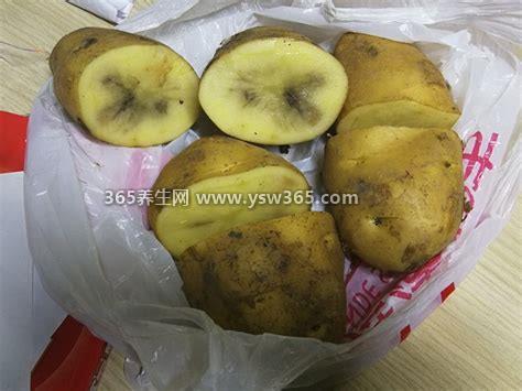 土豆冻了还能吃吗有毒吗,是可以吃的/只是失去了口感和营养
