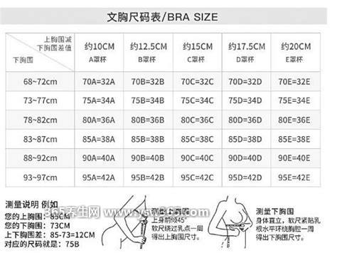 内衣尺码对照表从小到大,测量胸围的方法一览表