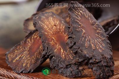 肉苁蓉