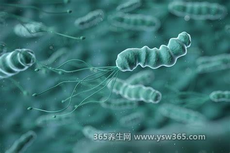 三种人不用治幽门杆菌,青少年和儿童/年龄大于70岁的不用治