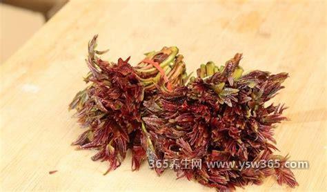 香椿芽怎么保存才新鲜,水浸法/浸泡24小时(保存一周)