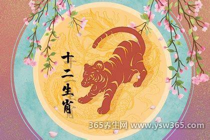 2022年虎年不宜生子的属相,包括猴/猪/蛇可以注意